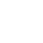 Roman Fury : Brand Short Description Type Here.